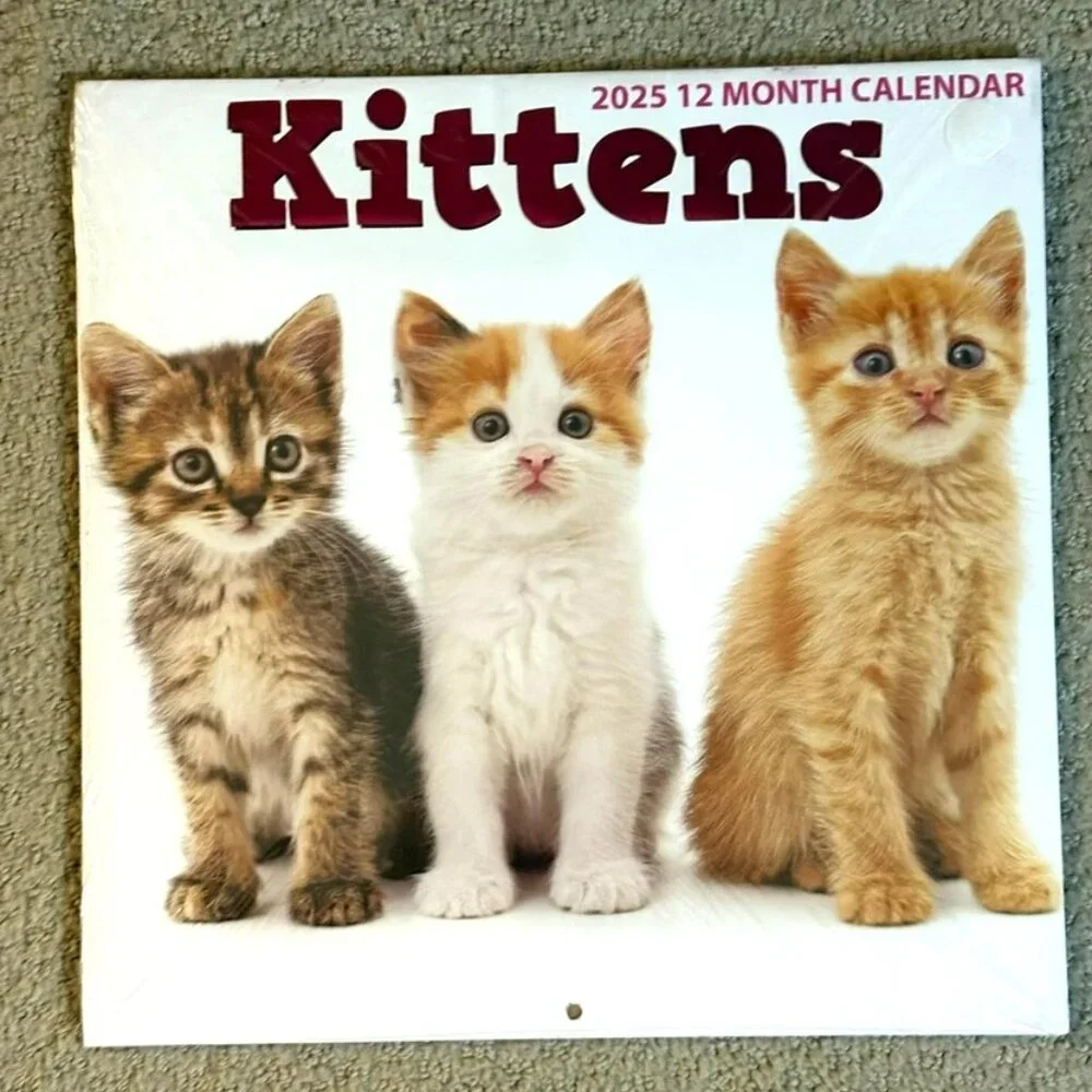 2025 Kittens Wall Calendar Cute Cats 12-Month Animal Planner for Cat Lovers